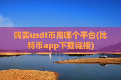 购买usdt币用哪个平台(比特币app下载链接)-第1张图片-币圈网 购买usdt币用哪个平台(比特币app下载链接)-第1张图片-币圈网