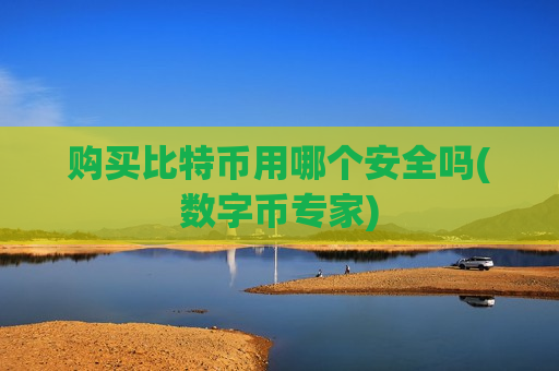 购买比特币用哪个安全吗(数字币专家)-第1张图片-币圈网 购买比特币用哪个安全吗(数字币专家)-第1张图片-币圈网