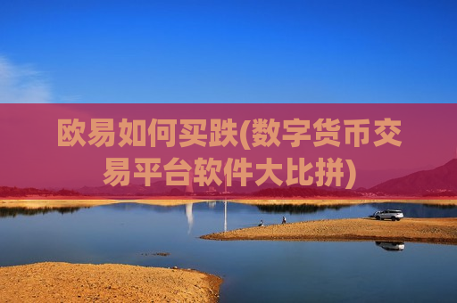 欧易如何买跌(数字货币交易平台软件大比拼)-第1张图片-币圈网