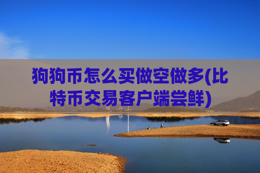 狗狗币怎么买做空做多(比特币交易客户端尝鲜)