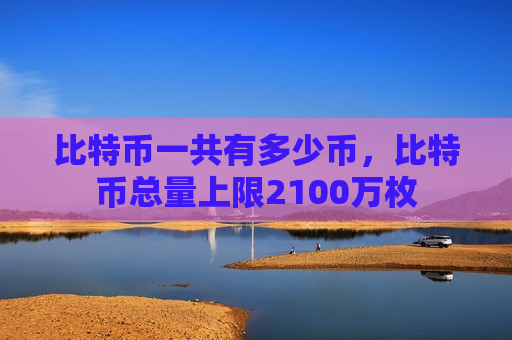 比特币一共有多少币，比特币总量上限2100万枚-第1张图片-币圈网