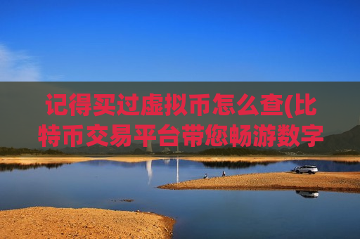 记得买过虚拟币怎么查(比特币交易平台带您畅游数字世界)-第1张图片-币圈网 记得买过虚拟币怎么查(比特币交易平台带您畅游数字世界)-第1张图片-币圈网