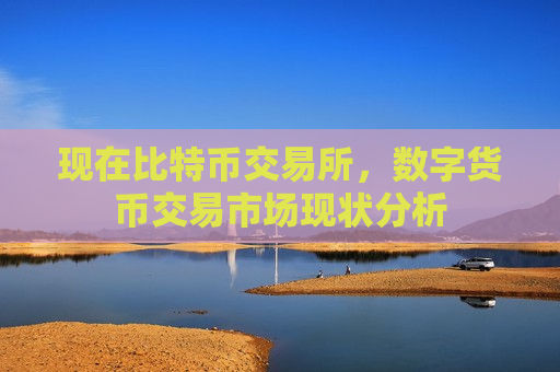 现在比特币交易所,数字货币交易市场现状分析-第1张图片-币圈网 现在比特币交易所,数字货币交易市场现状分析-第1张图片-币圈网
