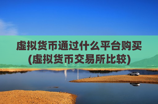 虚拟货币通过什么平台购买(虚拟货币交易所比较)-第1张图片-币圈网