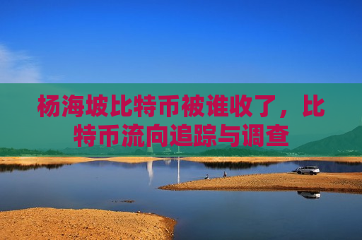 杨海坡比特币被谁收了，比特币流向追踪与调查-第1张图片-币圈网