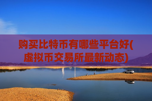 购买比特币有哪些平台好(虚拟币交易所最新动态)-第1张图片-币圈网 购买比特币有哪些平台好(虚拟币交易所最新动态)-第1张图片-币圈网