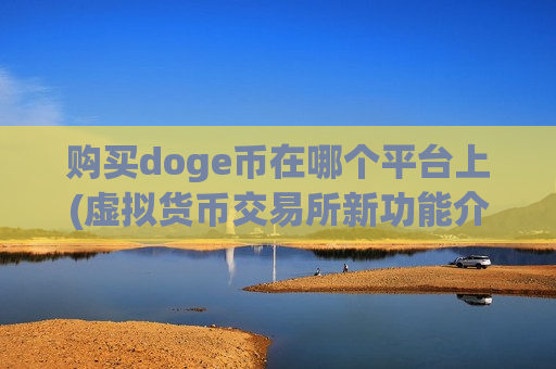 购买doge币在哪个平台上(虚拟货币交易所新功能介绍)-第1张图片-币圈网