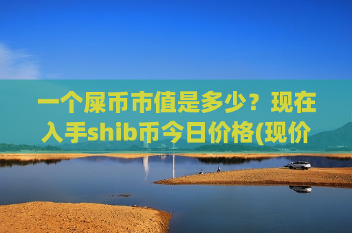 一个屎币市值是多少？现在入手shib币今日价格(现价0.00020054元)-第1张图片-币圈网
