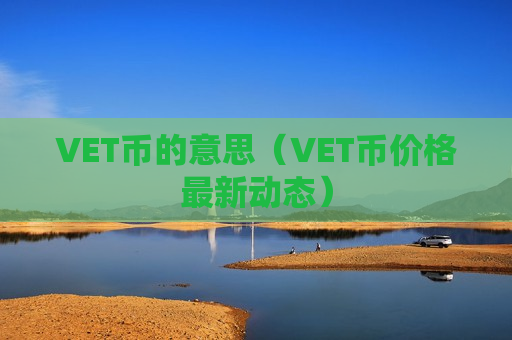 VET币的意思（VET币价格最新动态）-第1张图片-币圈网