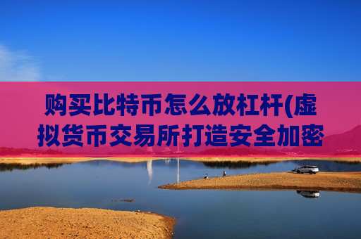 购买比特币怎么放杠杆(虚拟货币交易所打造安全加密环境)-第1张图片-币圈网