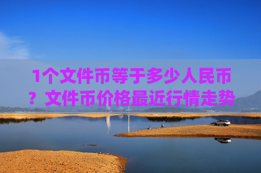 1个文件币等于多少人民币？文件币价格最近行情走势(现价57.2196元)
