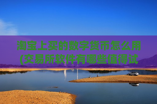 淘宝上买的数字货币怎么用(交易所软件有哪些值得试用)-第1张图片-币圈网 淘宝上买的数字货币怎么用(交易所软件有哪些值得试用)-第1张图片-币圈网