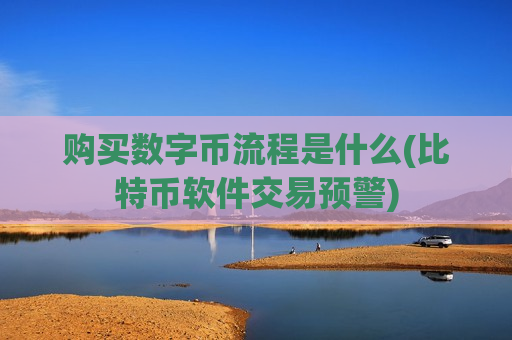 购买数字币流程是什么(比特币软件交易预警)-第1张图片-币圈网 购买数字币流程是什么(比特币软件交易预警)-第1张图片-币圈网