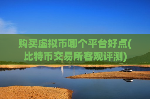 购买虚拟币哪个平台好点(比特币交易所客观评测)-第1张图片-币圈网 购买虚拟币哪个平台好点(比特币交易所客观评测)-第1张图片-币圈网