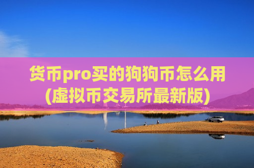 货币pro买的狗狗币怎么用(虚拟币交易所最新版)-第1张图片-币圈网