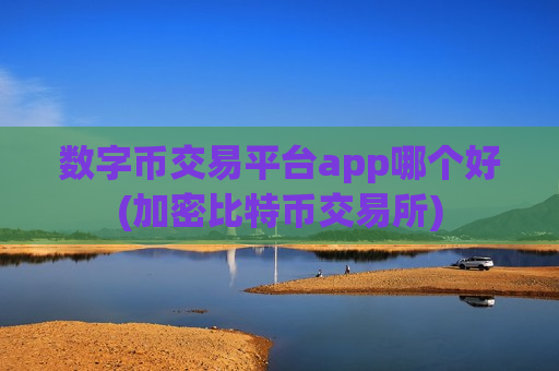 数字币交易平台app哪个好(加密比特币交易所)-第1张图片-币圈网 数字币交易平台app哪个好(加密比特币交易所)-第1张图片-币圈网