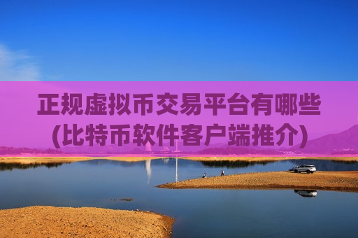 正规虚拟币交易平台有哪些(比特币软件客户端推介)-第1张图片-币圈网