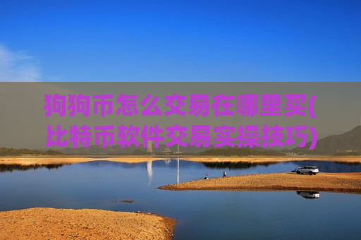 狗狗币怎么交易在哪里买(比特币软件交易实操技巧)