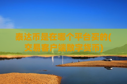 泰达币是在哪个平台买的(交易客户端数字货币)