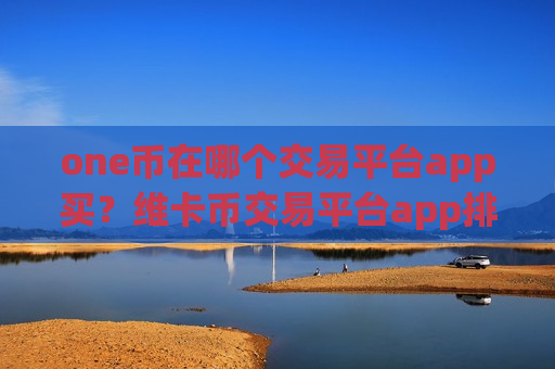 one币在哪个交易平台app买？维卡币交易平台app排行火币-第1张图片-币圈网