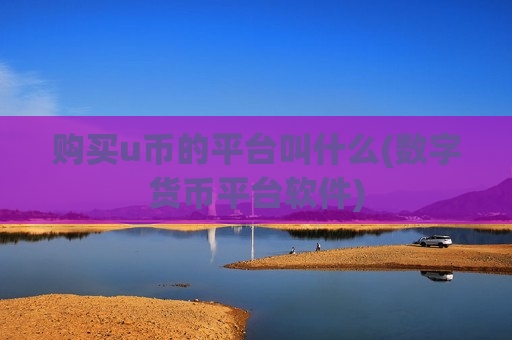 购买u币的平台叫什么(数字货币平台软件)-第1张图片-币圈网 购买u币的平台叫什么(数字货币平台软件)-第1张图片-币圈网