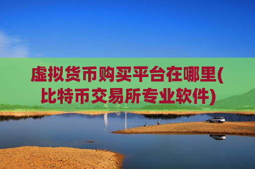 虚拟货币购买平台在哪里(比特币交易所专业软件)-第1张图片-币圈网