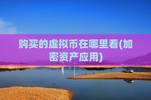 购买的虚拟币在哪里看(加密资产应用)-第1张图片-币圈网 购买的虚拟币在哪里看(加密资产应用)-第1张图片-币圈网