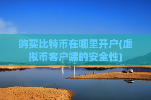 购买比特币在哪里开户(虚拟币客户端的安全性)-第1张图片-币圈网