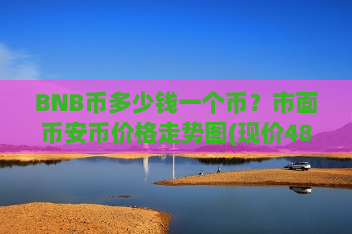 BNB币多少钱一个币？市面币安币价格走势图(现价4885.33元)-第1张图片-币圈网