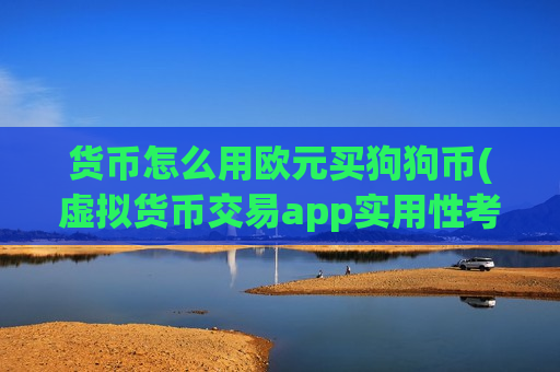 货币怎么用欧元买狗狗币(虚拟货币交易app实用性考量)-第1张图片-币圈网