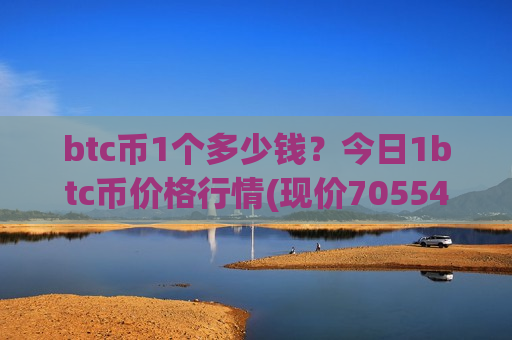 btc币1个多少钱?今日1btc币价格行情(现价705541.32元)-第1张图片-币圈网 btc币1个多少钱?今日1btc币价格行情(现价705541.32元)-第1张图片-币圈网