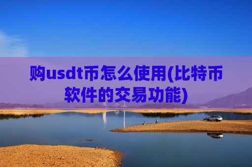 购usdt币怎么使用(比特币软件的交易功能)-第1张图片-币圈网
