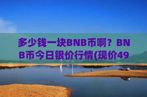 多少钱一块BNB币啊?BNB币今日银价行情(现价4916.18元)-第1张图片-币圈网 多少钱一块BNB币啊?BNB币今日银价行情(现价4916.18元)-第1张图片-币圈网