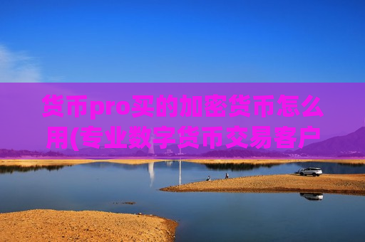 货币pro买的加密货币怎么用(专业数字货币交易客户端推荐)-第1张图片-币圈网 货币pro买的加密货币怎么用(专业数字货币交易客户端推荐)-第1张图片-币圈网