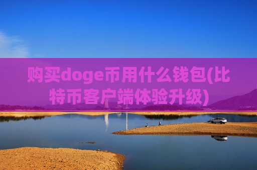 购买doge币用什么钱包(比特币客户端体验升级)-第1张图片-币圈网 购买doge币用什么钱包(比特币客户端体验升级)-第1张图片-币圈网