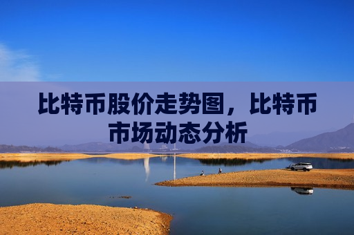 比特币股价走势图，比特币市场动态分析-第1张图片-币圈网