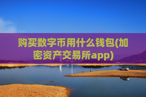 购买数字币用什么钱包(加密资产交易所app)-第1张图片-币圈网 购买数字币用什么钱包(加密资产交易所app)-第1张图片-币圈网