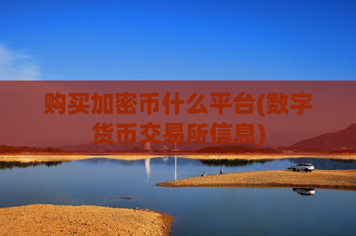 购买加密币什么平台(数字货币交易所信息)-第1张图片-币圈网 购买加密币什么平台(数字货币交易所信息)-第1张图片-币圈网