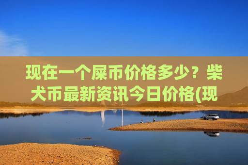 现在一个屎币价格多少？柴犬币最新资讯今日价格(现价0.00018169元)-第1张图片-币圈网