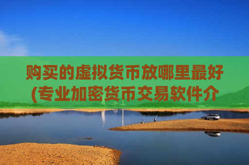 购买的虚拟货币放哪里最好(专业加密货币交易软件介绍)-第1张图片-币圈网