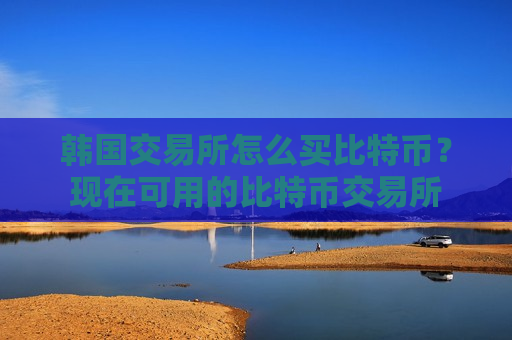 韩国交易所怎么买比特币？现在可用的比特币交易所-第1张图片-币圈网