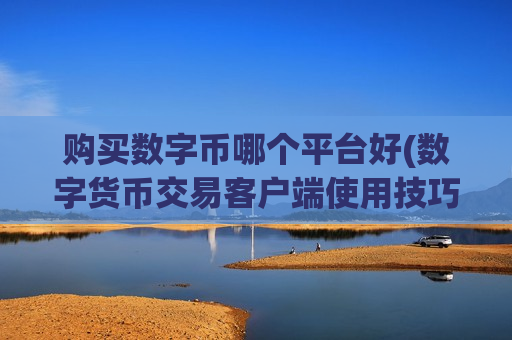 购买数字币哪个平台好(数字货币交易客户端使用技巧)-第1张图片-币圈网 购买数字币哪个平台好(数字货币交易客户端使用技巧)-第1张图片-币圈网