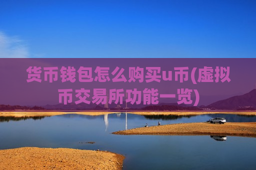 货币钱包怎么购买u币(虚拟币交易所功能一览)-第1张图片-币圈网 货币钱包怎么购买u币(虚拟币交易所功能一览)-第1张图片-币圈网