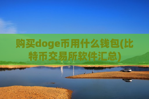 购买doge币用什么钱包(比特币交易所软件汇总)-第1张图片-币圈网