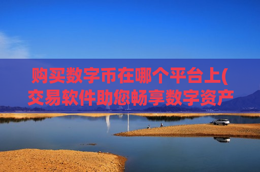 购买数字币在哪个平台上(交易软件助您畅享数字资产交易)-第1张图片-币圈网 购买数字币在哪个平台上(交易软件助您畅享数字资产交易)-第1张图片-币圈网