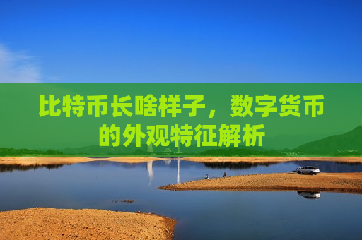 比特币长啥样子,数字货币的外观特征解析-第1张图片-币圈网 比特币长啥样子,数字货币的外观特征解析-第1张图片-币圈网