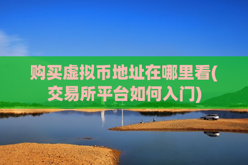 购买虚拟币地址在哪里看(交易所平台如何入门)-第1张图片-币圈网