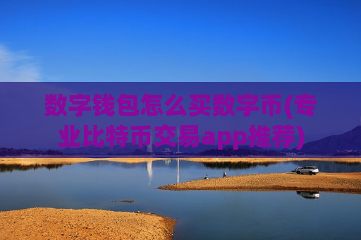 数字钱包怎么买数字币(专业比特币交易app推荐)