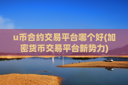 u币合约交易平台哪个好(加密货币交易平台新势力)