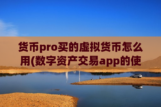 货币pro买的虚拟货币怎么用(数字资产交易app的使用指南)-第1张图片-币圈网 货币pro买的虚拟货币怎么用(数字资产交易app的使用指南)-第1张图片-币圈网